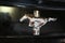 2017 Ford Mustang V6