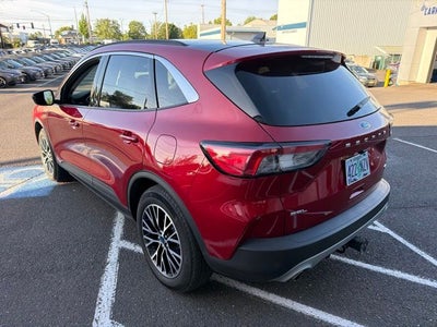 2022 Ford Escape Plug-In Hybrid SEL