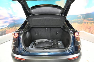 2022 Mazda Mazda CX-30 2.5 S Premium Package