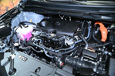 2025 Toyota Sienna Woodland Edition 7 Passenger