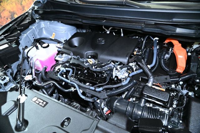 2025 Toyota Sienna Woodland Edition 7 Passenger