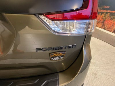 2025 Subaru Forester Wilderness