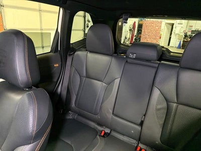 2024 Subaru Forester Wilderness