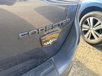 2024 Subaru Forester Wilderness