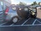 2010 Hyundai Elantra Touring GLS