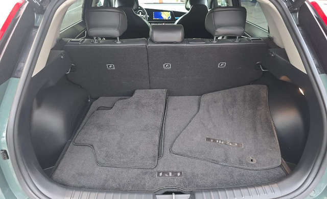 2024 Kia Niro EV Wind
