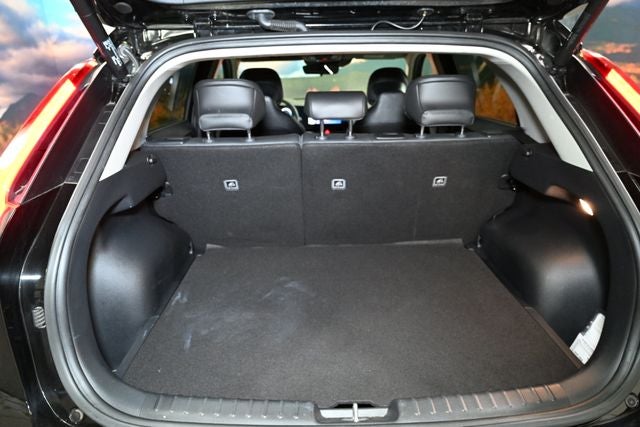 2024 Kia Niro EV Wind
