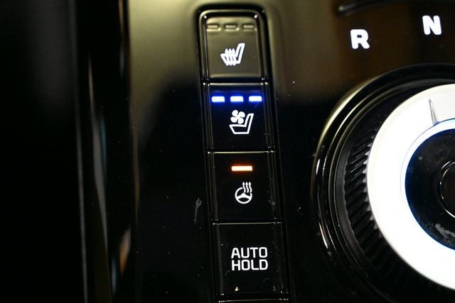 2024 Kia Niro EV Wave