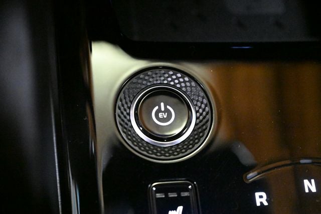 2024 Kia Niro EV Wave