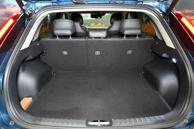 2024 Kia Niro EV Wave